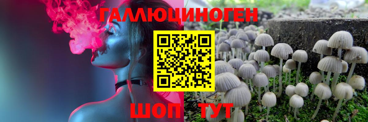 Псилоцибиновые грибы GOLDEN TEACHER  Вход с VPN  Асино 